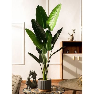 Maple Home Artificial Fake Plant Tree Faux Banana Leaf Indoor Outdoor Home Office Decoration 160cm - Image 3