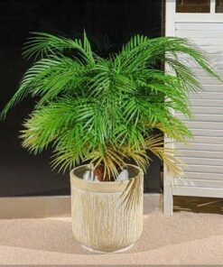 Concrete Planter Pot Garden Plant Pot Indoor Nursery Pot Flower Plant Container For Home Decor For All House Plants, Flowers, and Rose Plant (Small)