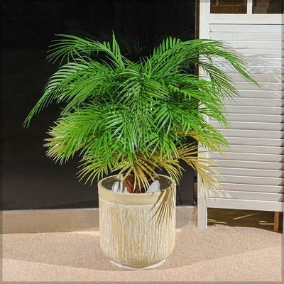 Concrete Planter Pot Garden Plant Pot Indoor Nursery Pot Flower Plant Container For Home Decor For All House Plants, Flowers, and Rose Plant (Small)