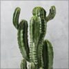 Artificial Cactus Plant, Realistic Green Succulent Fake Plants with Pot, Maintenance-Free, Waterproof & UV Resistant Decorative Faux Plant for Indoor & Outdoor Home, Office, Event Decor (105cm)