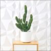 Artificial Cactus Plant, Realistic Spiky Design Fake Plants with Durable Waterproof Pot, UV Resistant & Maintenance-Free Floor Plant, Odor-Free Faux Plants for Home Office Event Garden (59cm)