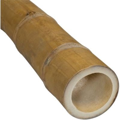 Egardenkart® Bamboo Pole Natural 3"-4" dia Heavy Thick Large Long Bamboo Stake for support decor Privacy fence (250) - Image 2