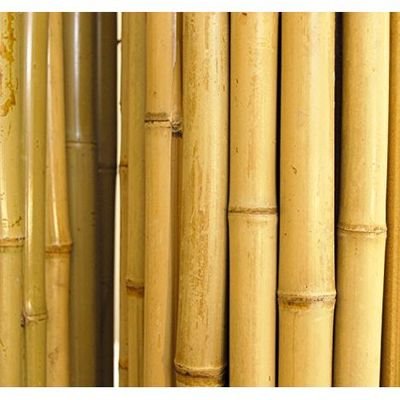 Egardenkart® Natural Rolled Bamboo Fence Thick Natural Privacy Fence (300, 250) - Image 3