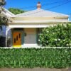 Egardenkart® Artificial Faux Hedge Privacy Fence Wall Screen, Leaf and Vine Decoration for Outdoor Garden Home Decor, (Vine)