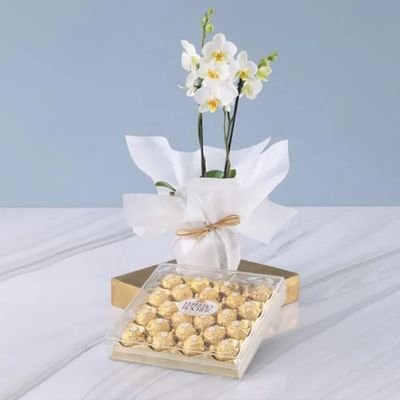 2 Stem White Orchid Plant and Ferrero Rocher 24pcs