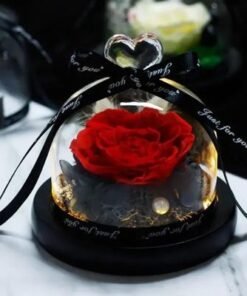Designer Red Preserved Rose with Box