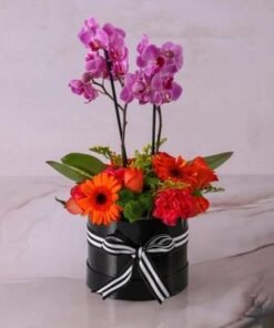 Fantastic Plants and Flowers in Box