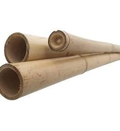 Alternative view of Bamboo Sticks for Plants - 150cm, 8pcs | Plant Support Stakes | 24-16mm, Plant Support Pole | Durable Plant Stick for for Flowers, Vegetables, and Creepers | Garden Sticks (8pcs, 150cm)