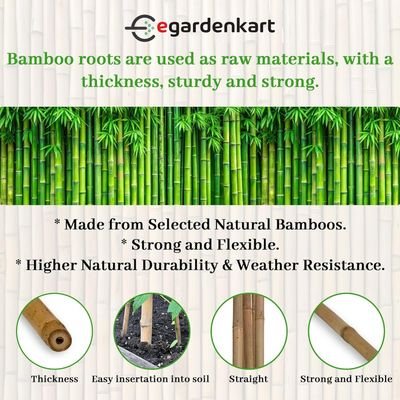 Bamboo Sticks for Plants - 120 Cm, 5 Pcs | Garden Sticks for Strong Support | Long Plant sticks for Plant Support Stakes (Slim, 5pcs, 120cm) - Image 4
