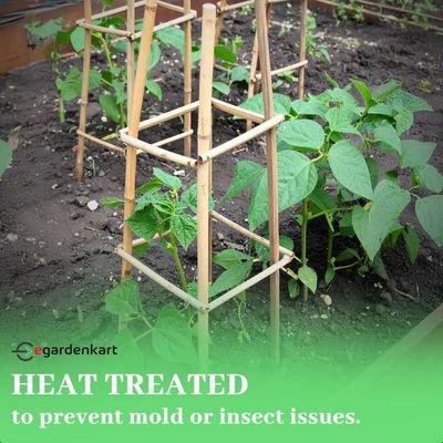 Bamboo Sticks for Plants - 120 Cm, 5 Pcs | Garden Sticks for Strong Support | Long Plant sticks for Plant Support Stakes (Slim, 5pcs, 120cm)