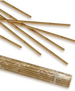 Alternative view of Bamboo Sticks for Plants - 60 Cm, 10 Pcs | Garden Sticks for Strong Support | Long Plant sticks for Plant Support Stakes (Slim, 10pcs, 60cm)