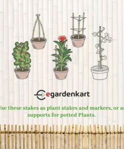 Bamboo Sticks for Plants - 150 Cm, 10 Pcs | Garden Sticks for Strong Support | Long Plant sticks for Plant Support Stakes (Slim, 10pcs, 150cm) - Image 5