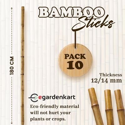 Bamboo Sticks for Plants - 180 Cm, 10 Pcs | Garden Sticks for Strong Support | Long Plant sticks for Plant Support Stakes (Slim, 10pcs, 180cm) - Image 3