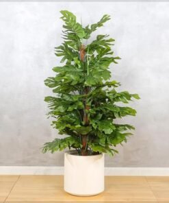 Alternative view of Stunning Monstera Plants, Faux Plant with Green Leaves & Plastic Pot, Waterproof & Maintenance-Free Fake Plants, No-Watering & Long-Lasting Fake Tree for Home Decor & Commercial Space (120cm)