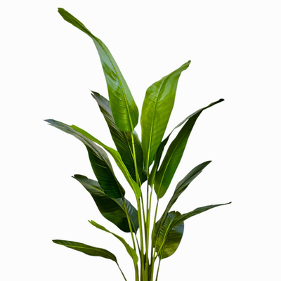 190 cm Artificial Bird of Paradise Plant Lush Indoor Tropical Decor for Living Room, Bedroom & Office (Without Pot) - Image 5