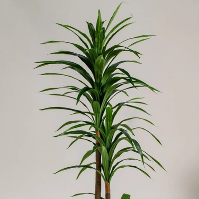 Artificial Dracaena Reflexa Plant 190cm Premium Tall Indoor Floor Plant for Home & Office Decor Realistic Green Leaves (Without Pot) - Image 4