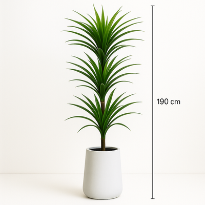 Artificial Dracaena Reflexa Plant 190cm Premium Tall Indoor Floor Plant for Home & Office Decor Realistic Green Leaves (Without Pot)