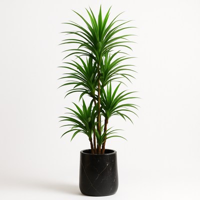 Artificial Dracaena Reflexa Plant 220cm Premium Tall Indoor Floor Plant for Home & Office Decor _ Realistic Green Leaves (Without Pot) - Image 4