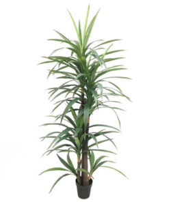 Artificial Dracaena Reflexa Plant 220cm Premium Tall Indoor Floor Plant for Home & Office Decor _ Realistic Green Leaves (Without Pot)