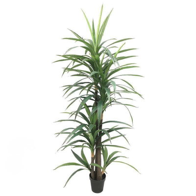 Artificial Dracaena Reflexa Plant 220cm Premium Tall Indoor Floor Plant for Home & Office Decor _ Realistic Green Leaves (Without Pot)