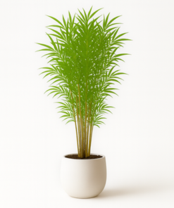 Luxury 210cm Artificial Bamboo Tree Tall Indoor Decorative Plant for Home & Office (Without Pot) - Image 4