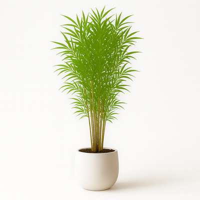Luxury 210cm Artificial Bamboo Tree Tall Indoor Decorative Plant for Home & Office (Without Pot) - Image 4