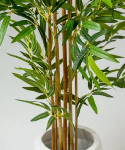 Luxury 210cm Artificial Bamboo Tree Tall Indoor Decorative Plant for Home & Office (Without Pot) - Image 5