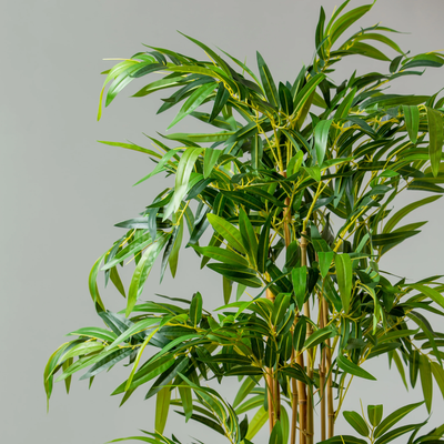 Luxury 210cm Artificial Bamboo Tree Tall Indoor Decorative Plant for Home & Office (Without Pot)