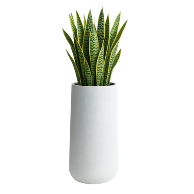 Premium 30x80 cm Tall White Textured Planter Modern Decor Pot - Image 4
