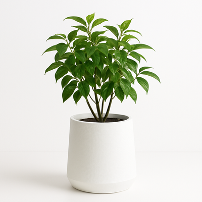White Textured Planter Pot 30X64 cm Modern Light Weight Indoor & Outdoor Flower Pot for Home & Office Décor - Image 5