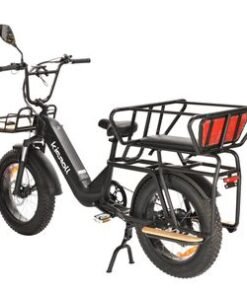 1000W 48V 15ah City Commuter Electric Bicycle Adult 2 Seat Electric Bike 20 Inch E Bikes