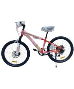 No brands 24 inch Bicycle