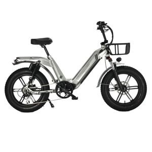20 Inch 500W Fat Tire Electric Moped Style Electric Bike with Motor Integrated Wheel Mountain E-Bike