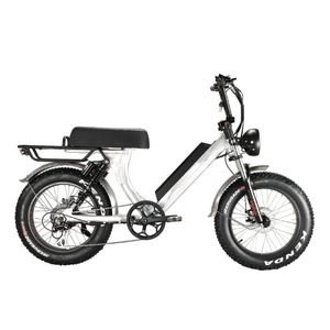 2021 Suspension Fork Bafang /500W /1000W Customized Brushless Motor Mountain Fat Tire Electric Bike