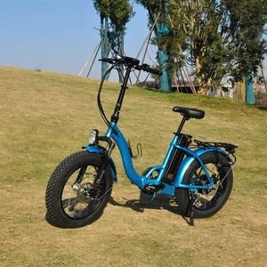 2025 Factory CE Certificate Hot Sold Remote Intelligent Control LCD Display Popular Wholesale Long Range Distance Electric Vehicle Electric Bike