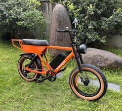 2025 Popular Electric City Travel High Motor Cheap Fat Bike 7 Speed Hight Motor 1000W High Quality Adult Electric Bike