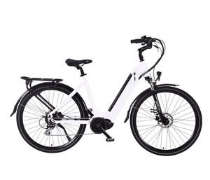 250W Bafang MID Drive Motor E-Bike High Quality Electric Snow Bike Mountain Bicycle City Electric Bike