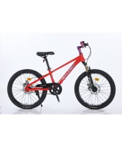 Raleigh EVA-22 inch High-Carbon Steel Frame with Single Speed