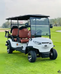 4+2 Golf Cart MXV