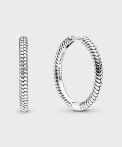 Pandora Moments Charm Hoop Earrings