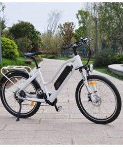 48V 10.4A Removable Battery off-Road Electric Bicycle Full Suspension Mountain E-Bike Fat Tyre Electric Bike