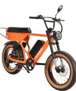 48V 1000W/1200W Motor 7-Speed Electric Bike Cargo Electric Bike Full Suspension Hydraulic E-Bike