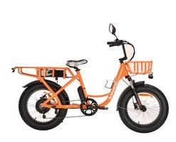 48V 25A Step Through Electric Bicycle Fat Tire off -Road Electric Bicycle with CE Certification