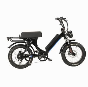 48V 500W Full Suspension Ebike Cargo Bike Electric, Electric Bike Fat Tire EU Warehouse