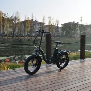 500W High Motor Cargo 2 Wheel Family Friendly Mountain Travel Riding City Commuter Adult Lithium Battery Lady Motor Europe Market E Bike