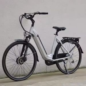 500W Warehouse Wholesale Removable 48V Lithium-Ion Battery Urban Commuting Cycle Cargo Electric Bikes