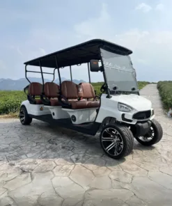 6 Seater Golf Cart TXV6+0