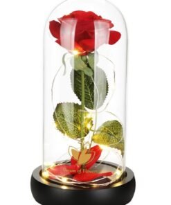 Beauty and The Beast Rose, Rose Flower Gifts for Women, Gifts for Her, Birthday Gifts for Womens, Eternal Rose Artificial Flower Light Up Rose in Glass Dome, Glass Roes Flower Gifts for Her