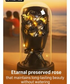ARNOTEC Eternal Rose Gift Box – LED Light Glass Cover Decoration | Romantic Gift for Valentine's Day, Birthday, Mother's Day black Bouquet Creative Ornaments