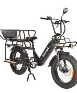 750W 1000W 48V 15ah City Commuter E Bike Adult 2 Seat Electric Bicycle 20 Inch Electric Bike